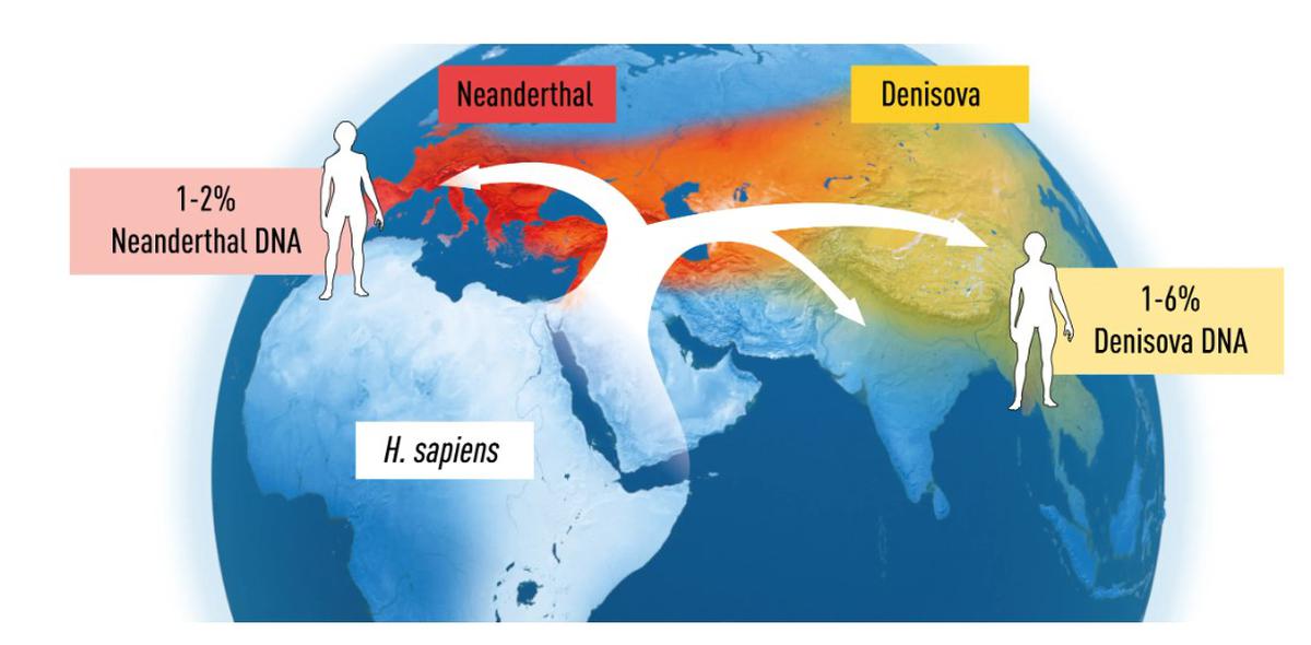 Possible interbreeding, and how the world was populated