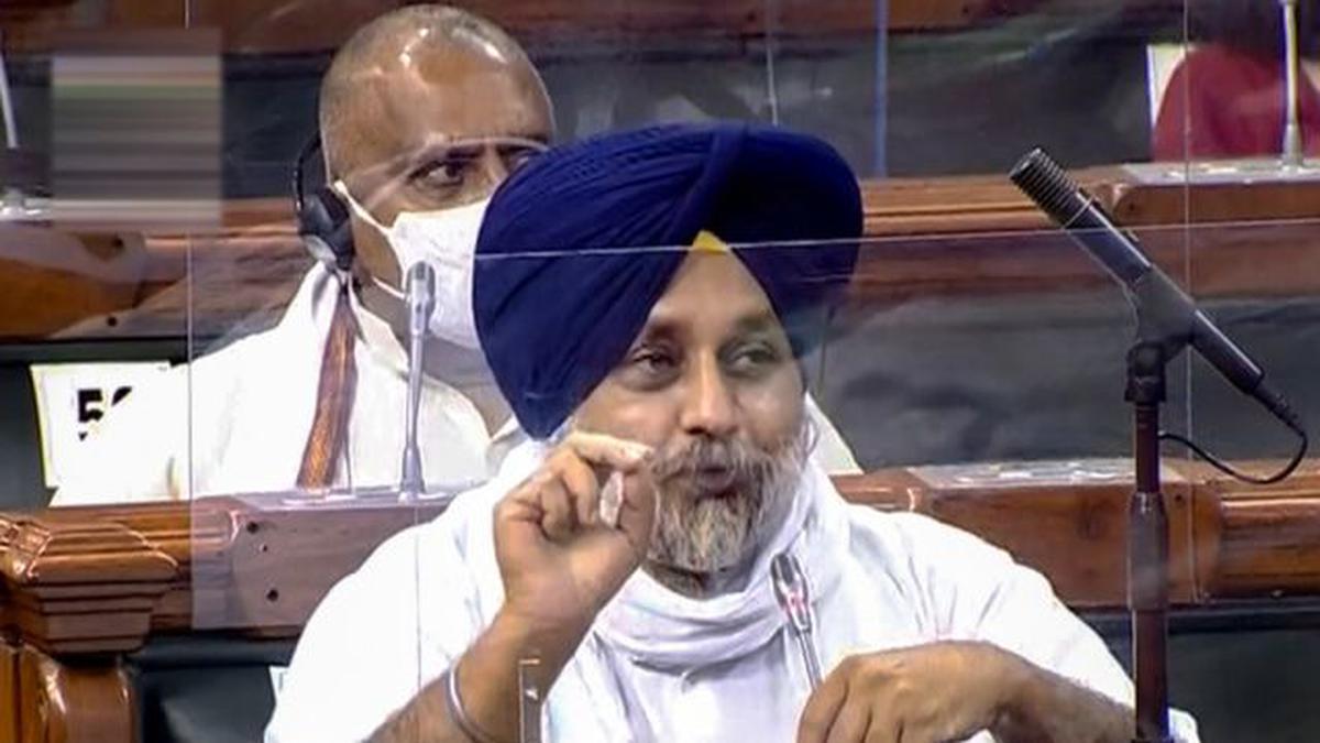 Parliament proceedings | Essential Commodities Amendment Bill passed in Lok Sabha