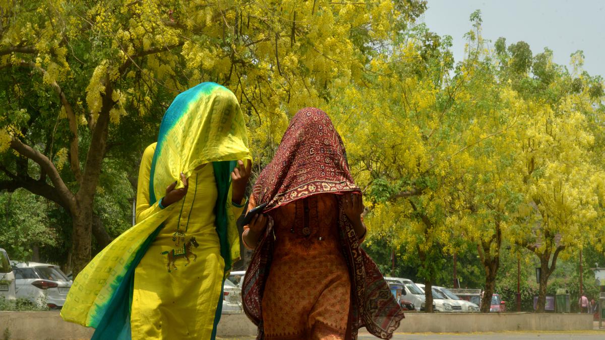 Most parts of India to witness above-normal temperatures from April-June, says IMD