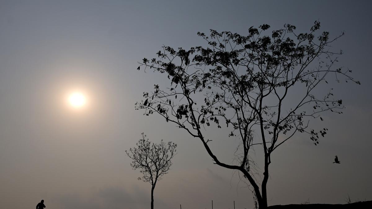 Heatwave likely in Northwest India over next six days; temperature may soar to 42 degree Celsius in Delhi