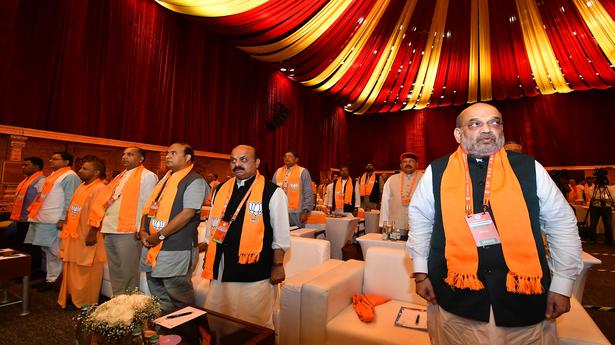 Supreme Court verdict on PM Modi clean chit ‘historic’: Amit Shah at BJP national executive meeting