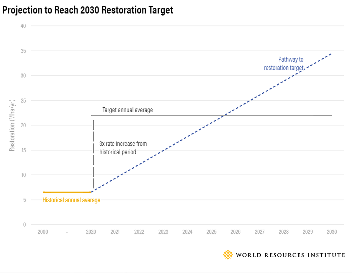 2030 बहाली लक्ष्य तक पहुंचने का अनुमान