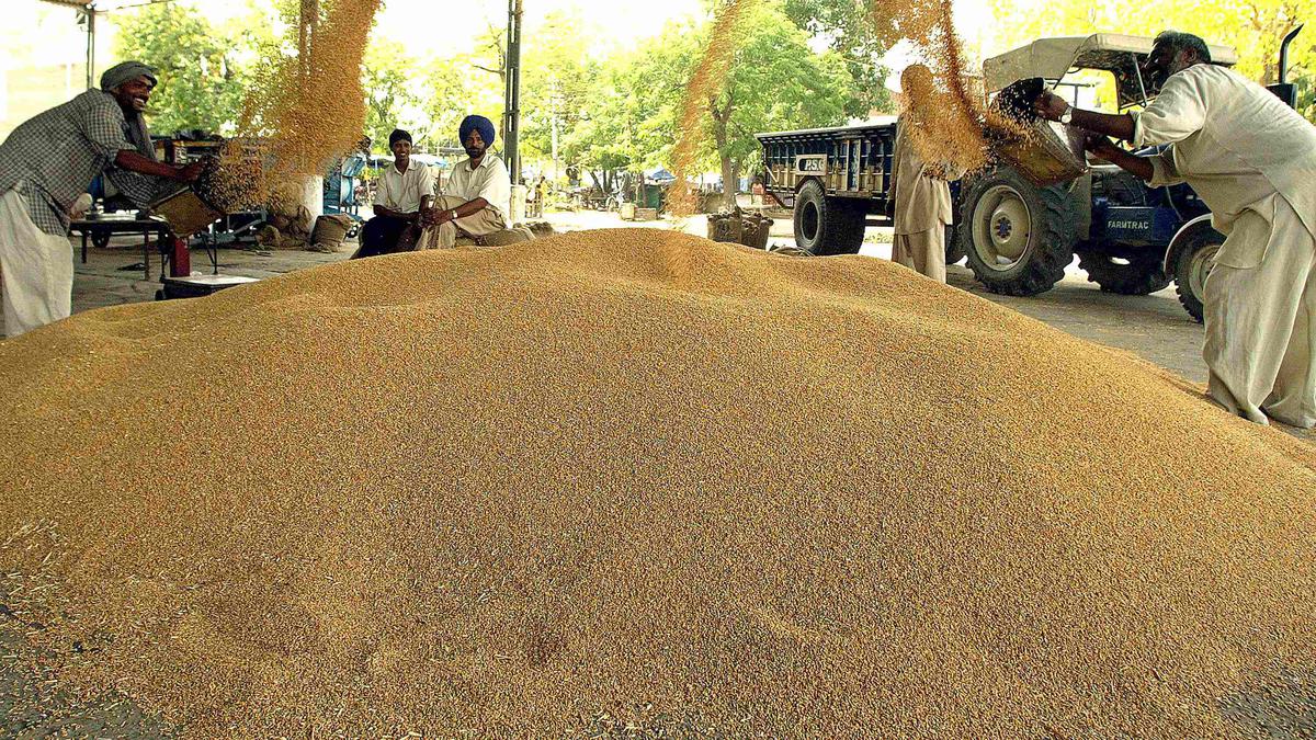 Centre raises minimum support prices for Rabi crops, farmers unhappy