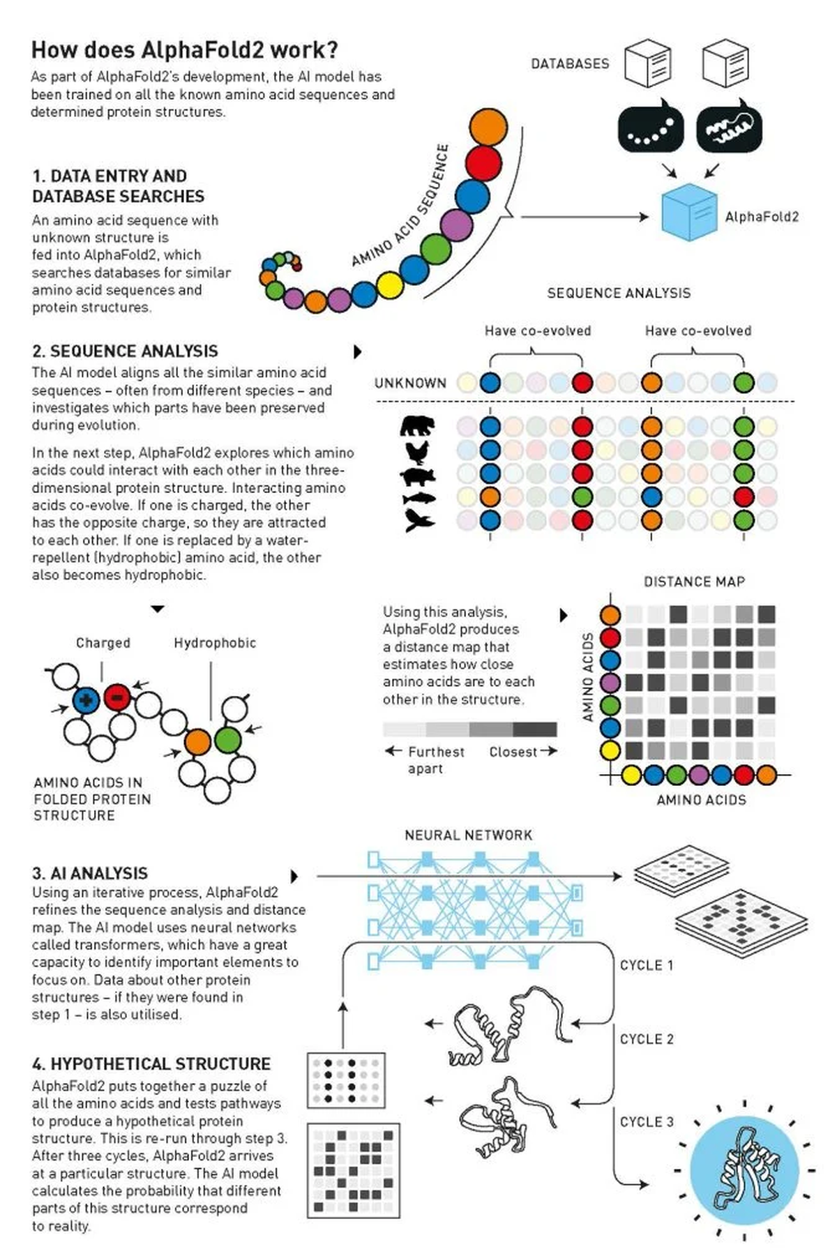 Как работает AlphaFold2?