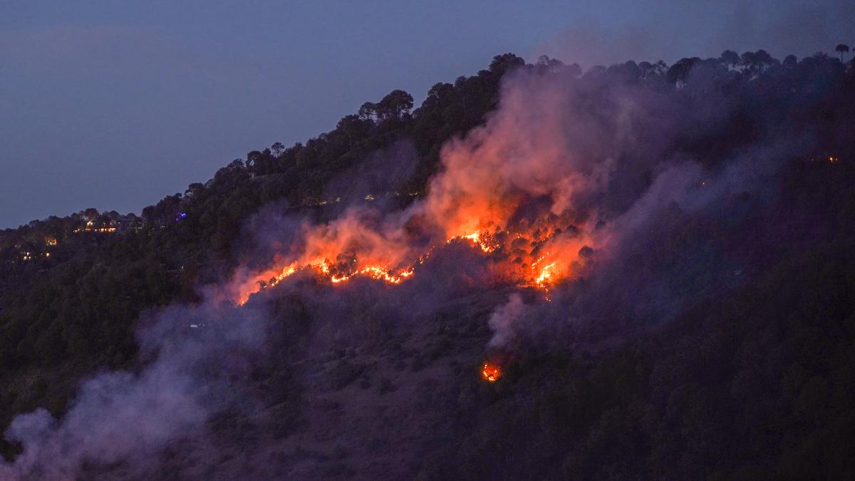 Supreme Court to urgently hear Uttarakhand forest fire petitions on May 8