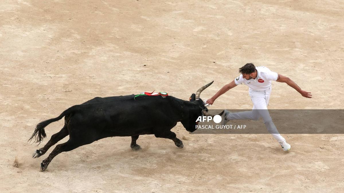 France’s bullfighters see red over bill to ban under-16s