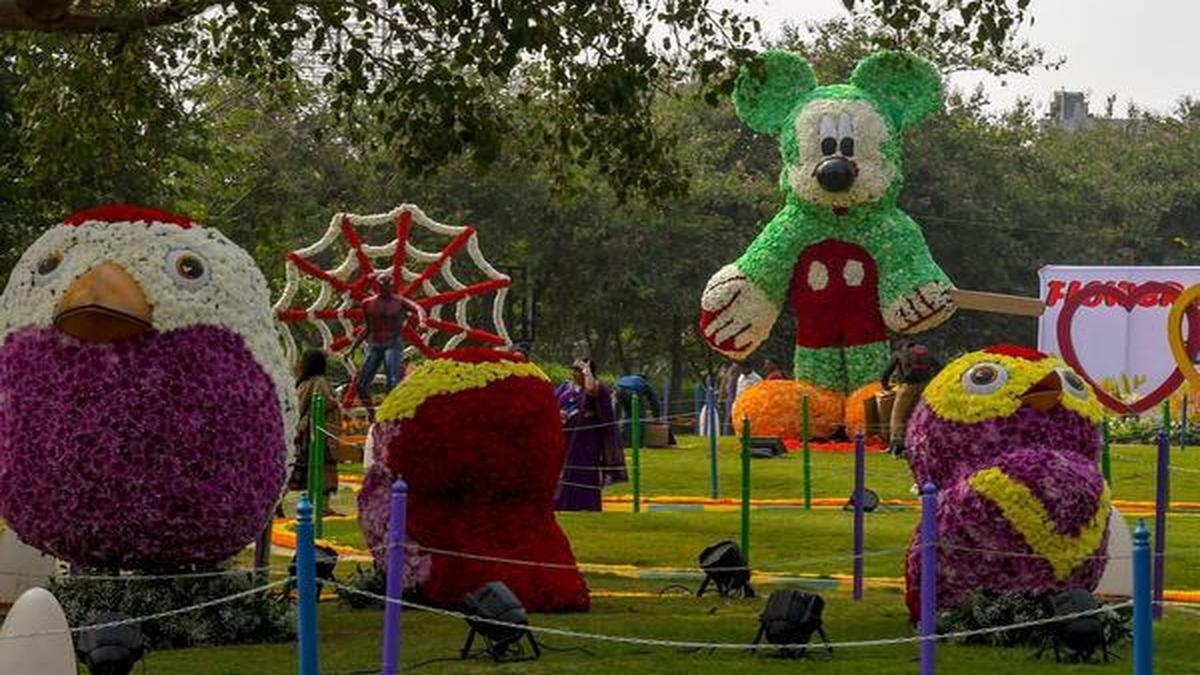 Flower show offers a veritable treat in Vizag The Hindu