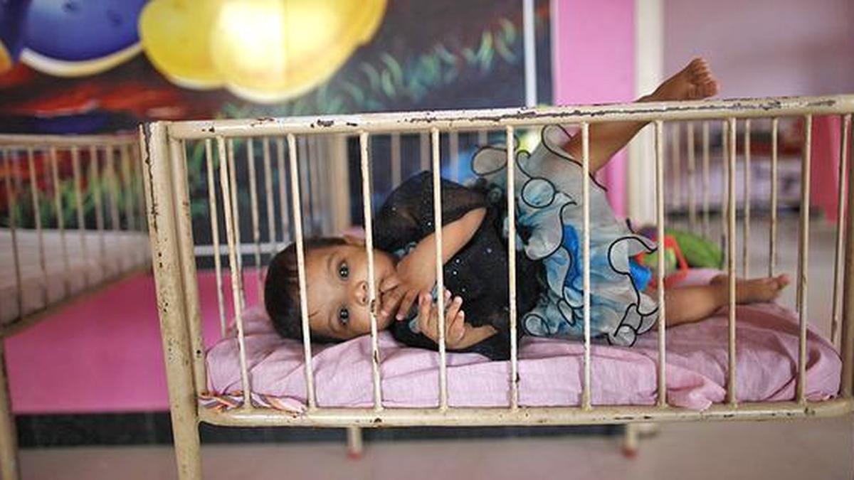 State to introduce cradle system The Hindu