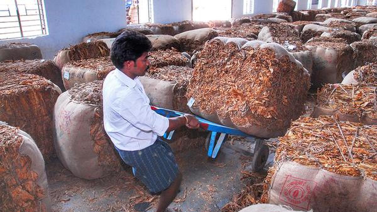 FDI proposal raises Prakasam tobacco growers’ hopes The Hindu