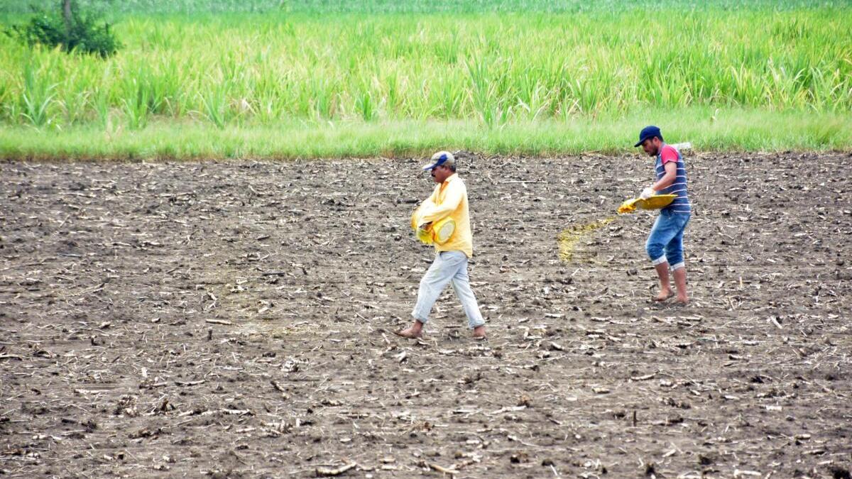 Farmer bodies flay fuel, fertiliser, aqua feed price rises in Andhra Pradesh