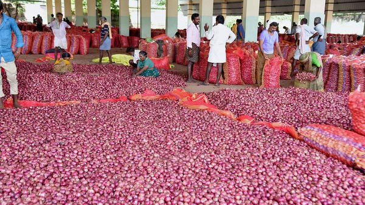 Onion prices bring tears to people The Hindu