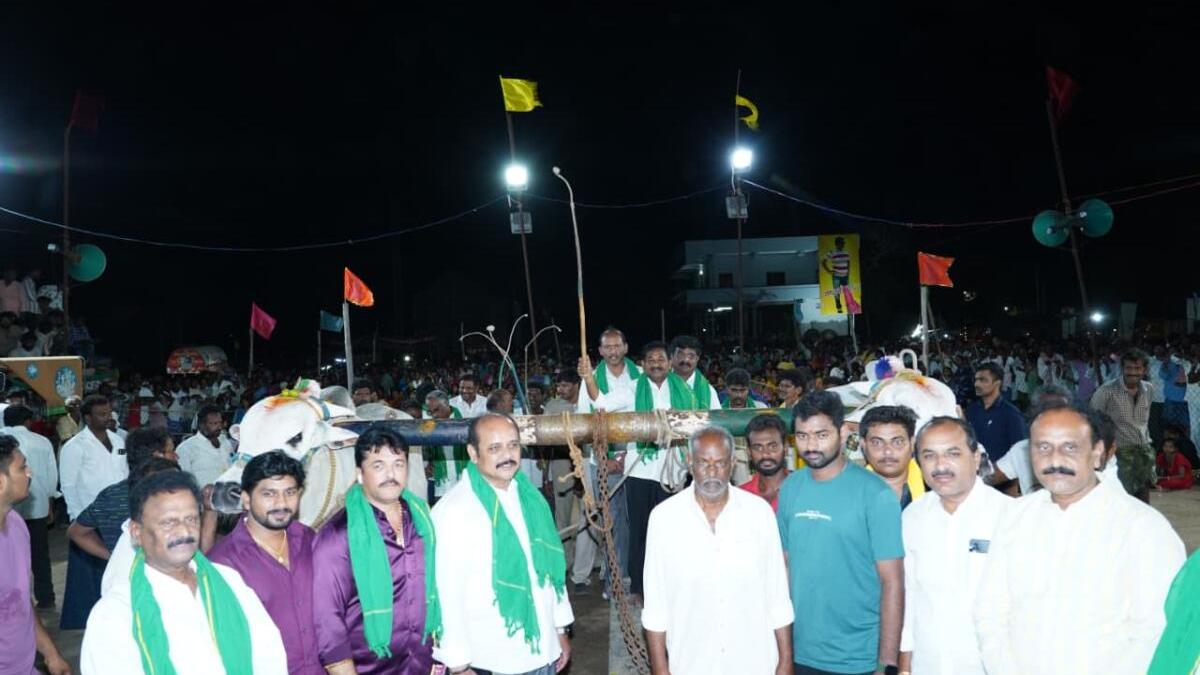 Ongole-breed bulls take centre stage at national-level Bull Strength Competition in Prakasam