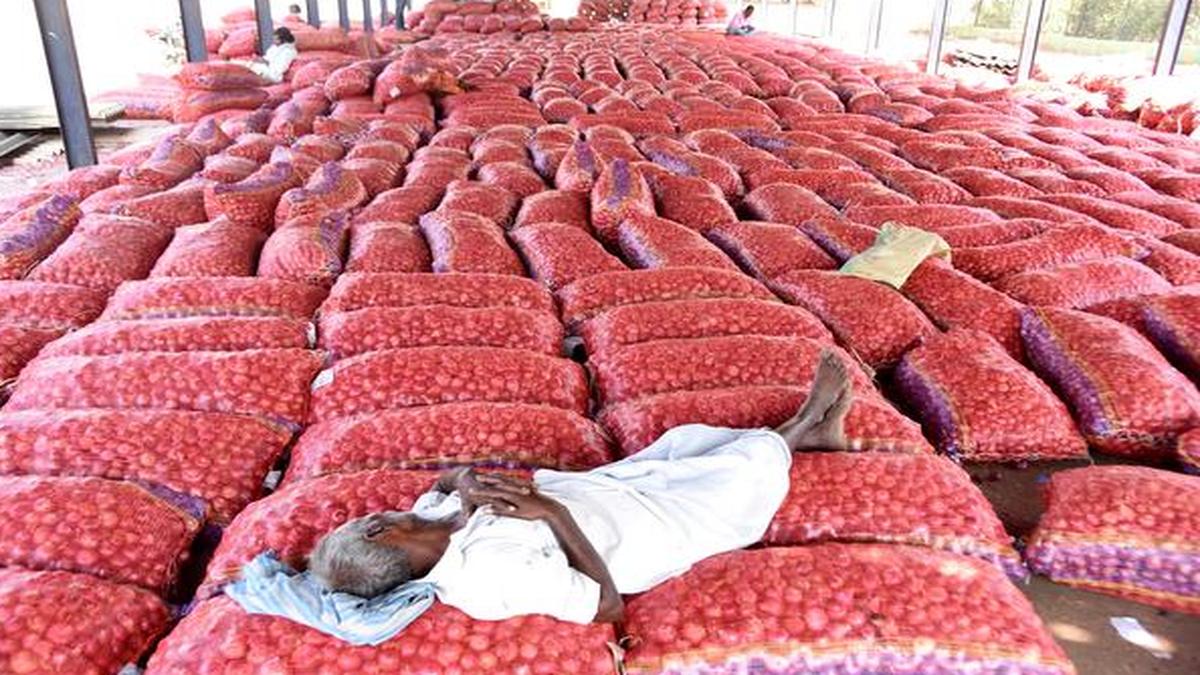 Onion farmers register first profit in four years The Hindu