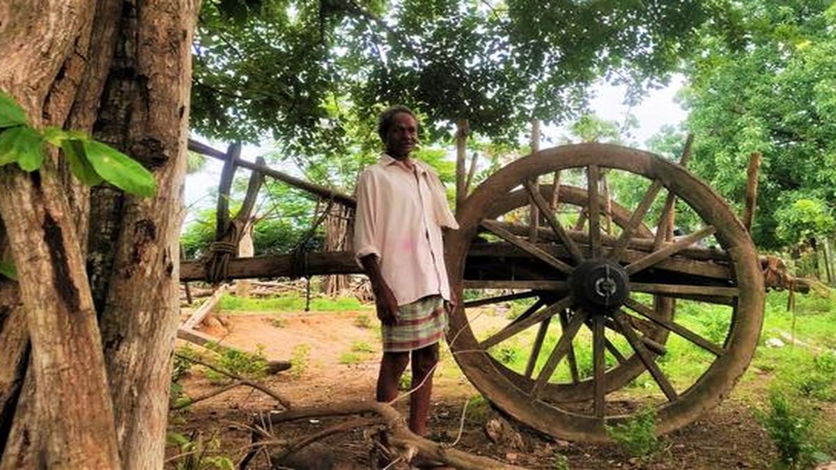 Where bullock carts rule the road The Hindu