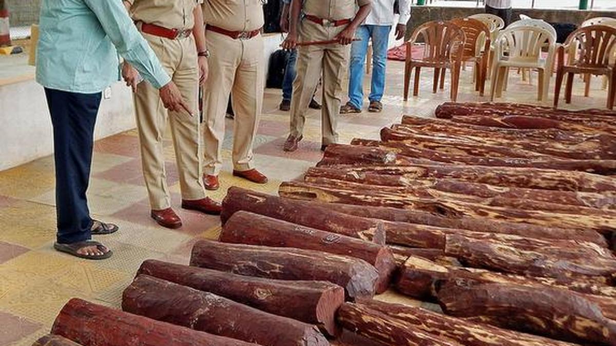 76 red sanders logs recovered from sawmill in Karnataka The Hindu