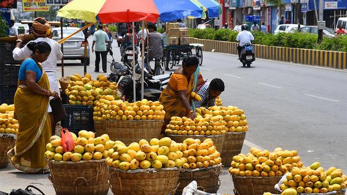 Andhra Pradesh’s mangoes find more global destinations The Hindu