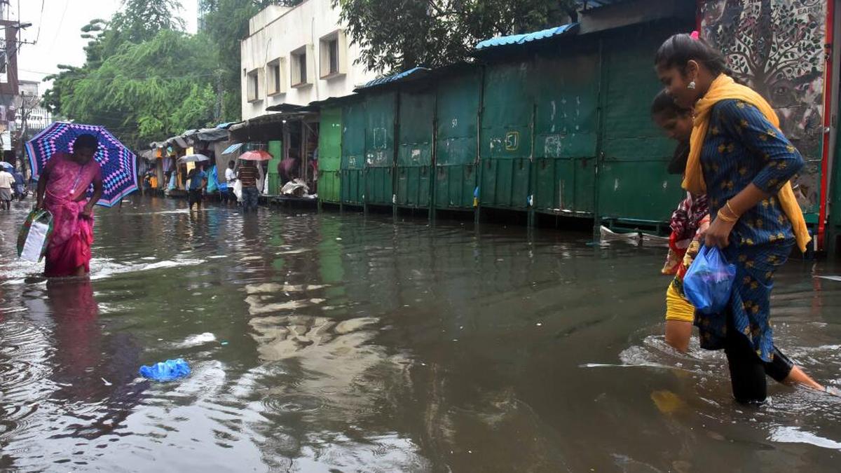 Heavy rain, winds knock out power across Nellore; IMD forecasts more thunderstorms in AP