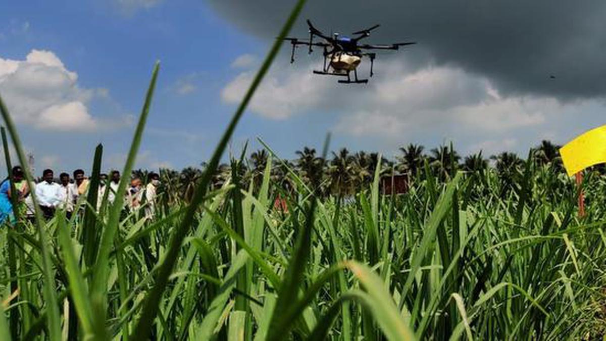 Scientists demonstrate drone technology for agriculture in East ...