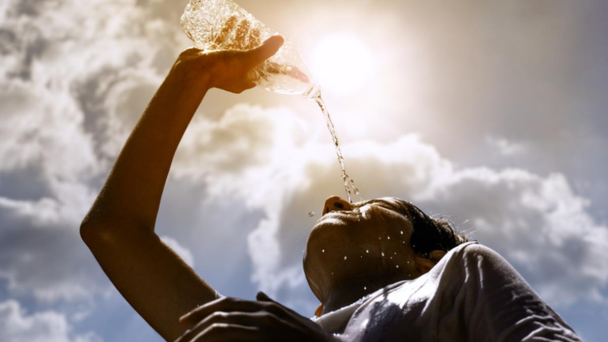 IMD issues heatwave alert for Vidarbha; Western Maharashtra and Marathwada to witness light rains
