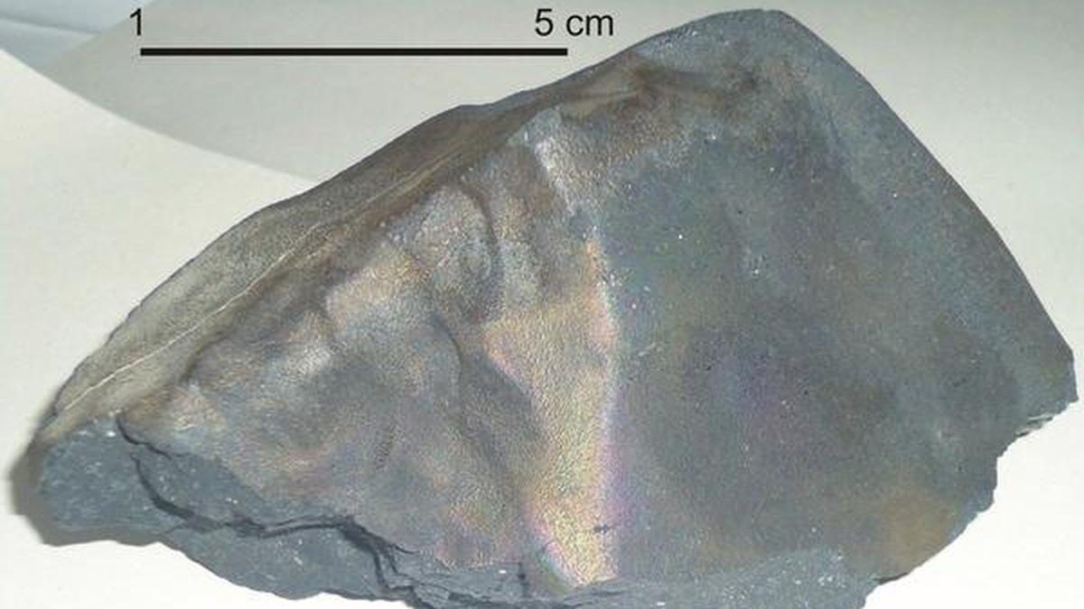 Rare meteorite may hold clue to life s origin The Hindu