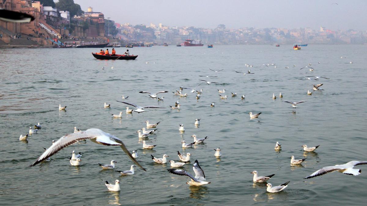 SC directs Bihar to remove encroachments near Ganga river