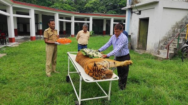 Raja, the oldest tiger in captivity at 25 years and 10 months, dies in West Bengal