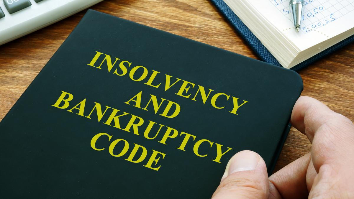 ‘Persistent and systemic challenges’ undermine IBC’s full potential: Parliamentary committee