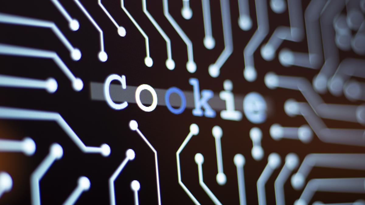 Dans le monde numérique des cookies