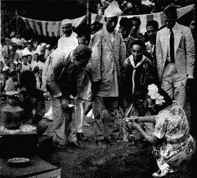 Daily Quiz | On Van Mahotsav 1 Mountbatten planting