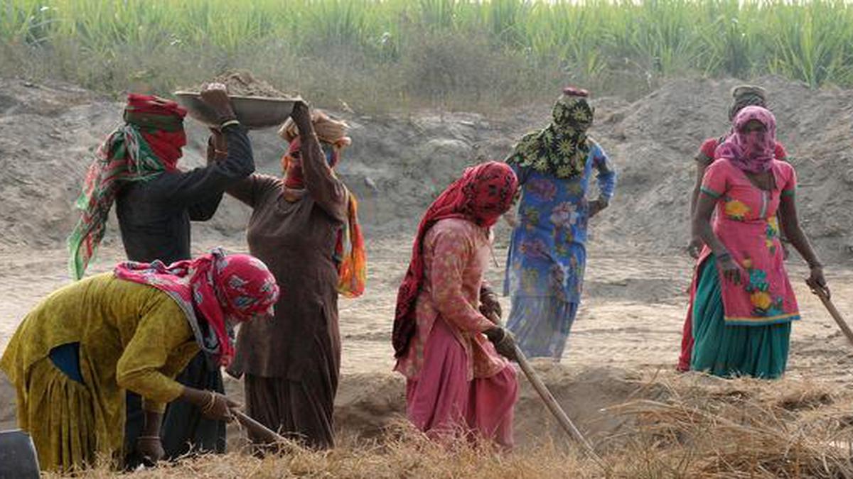 Centre likely to grant more funds for rural schemes to ease pain