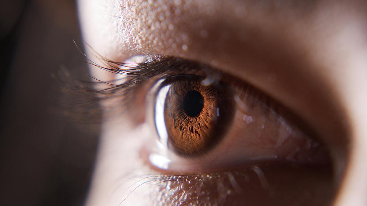 Delhi High Court upholds MHA policy barring colour-blind recruits in CAPFs