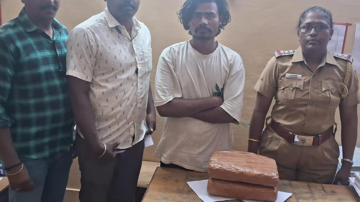 Four held for possession of 24.5 kg ganja in Vellore, Walajah - The Hindu