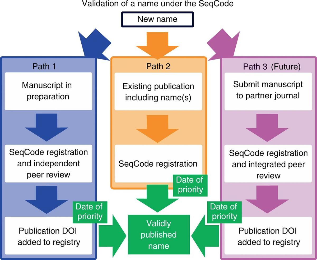 Process validation