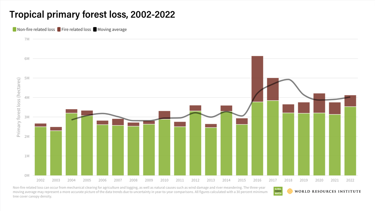 उष्णकटिबंधीय प्राथमिक वन हानि, 2002-2022