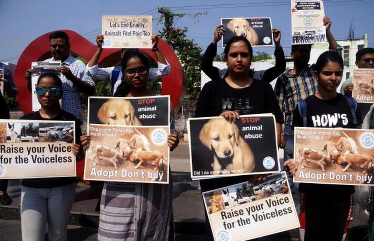 Mandal-level panels to against cruelty on animals - The Hindu