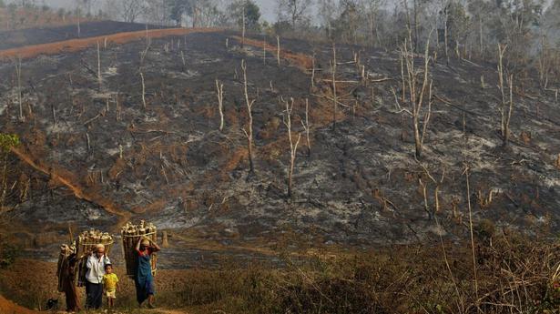 Data | Assam, Arunachal and Mizoram saw the biggest increases in encroachment of forest land in past two decades
