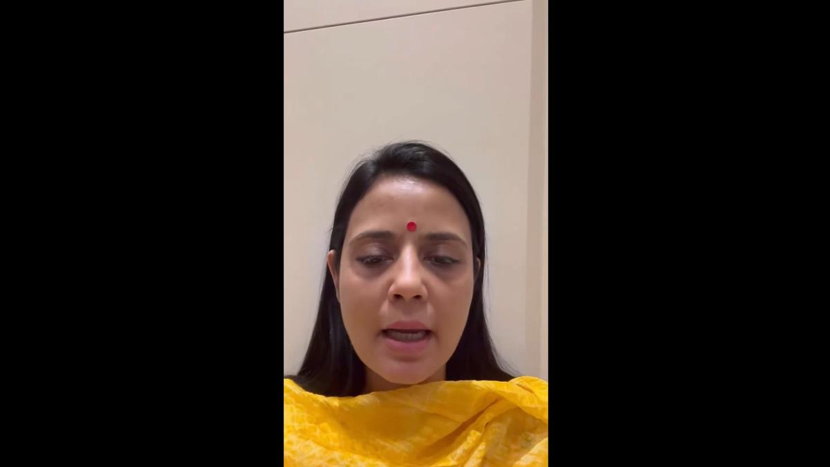 Trinamool MP Mahua Moitra says BJP workers brought ‘jungle raj’ in West Bengal