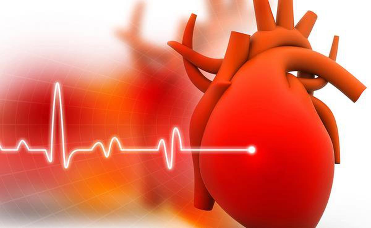 Стресс и сердце. Останусь в сердце. Беречь сердце. Сердце в руках. Сердце пожилых.