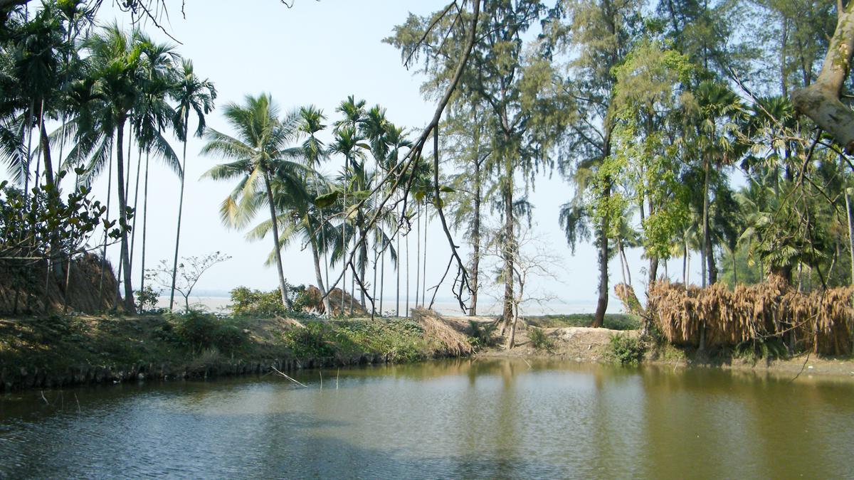 Vibrant village ponds - The Hindu