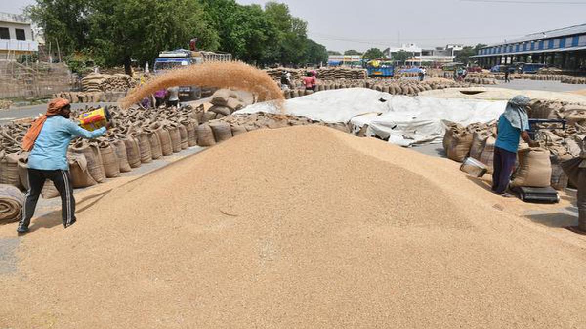 Govt hikes MSP for wheat by ₹85, pulses by ₹325 per quintal