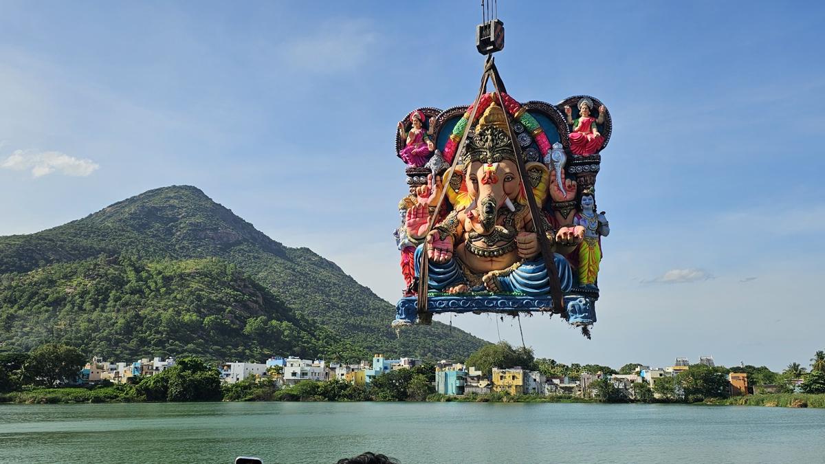 32 waterbodies identified for idol immersion in Vellore, nearby districts