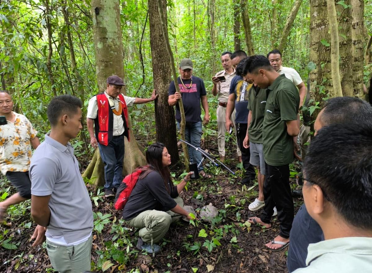 Youths from the local community have been engaged as ‘tortoise guardians’ to ensure protection of the released tortoises and assist in data collection.