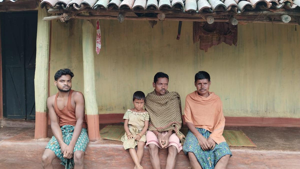 Marauding elephants force tribals to flee Odisha’s Kaliapani