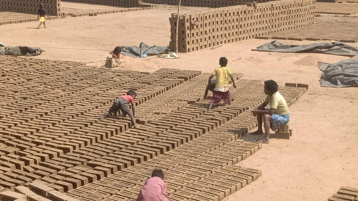 Reclaiming lost childhoods: Odisha Police to hold brick kiln owners accountable
Premium