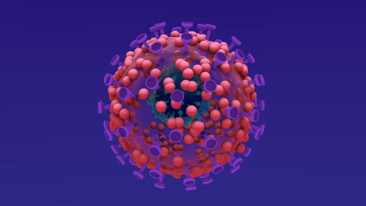 Covid-19 found in raccoon dogs in China, strengthens natural origin theory: Report