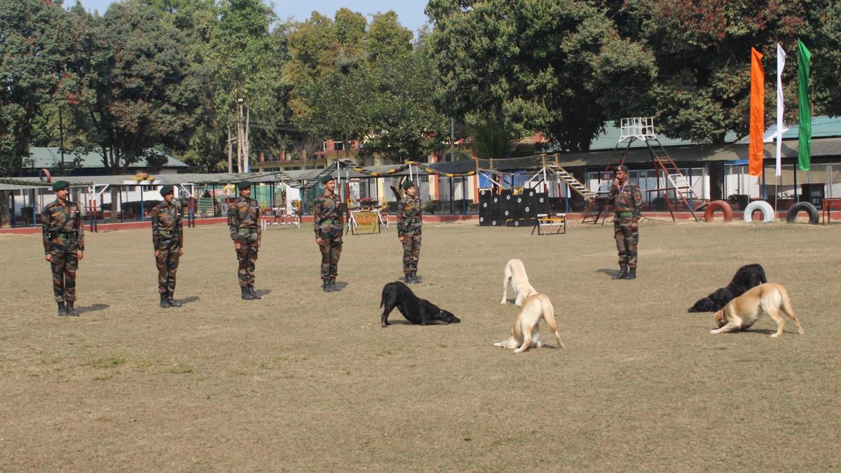 Tamil Nadu, Manipur breeds to bolster Assam Rifles’ dog squad