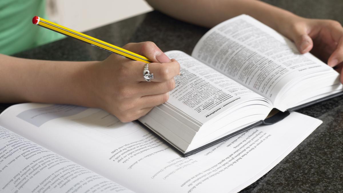 Parasocial is Cambridge dictionary’s Word of the Year 2025; delulu, slop among new entrants