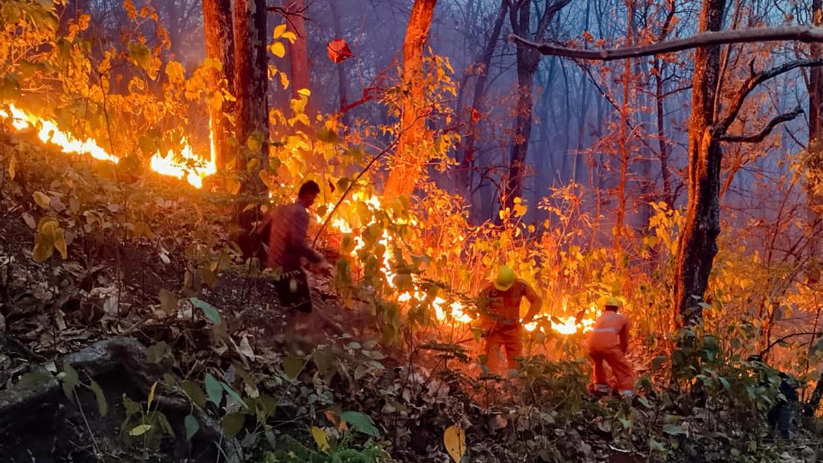 As fires burn down Uttarakhand forests, pending petitions find mention in Supreme Court