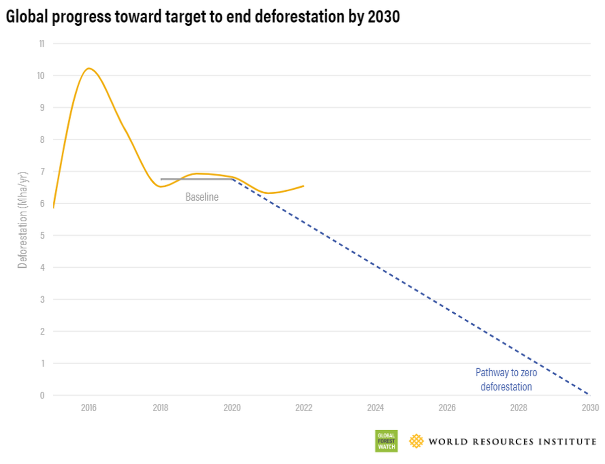 2030 तक वनों की कटाई को समाप्त करने के लक्ष्य की दिशा में वैश्विक प्रगति