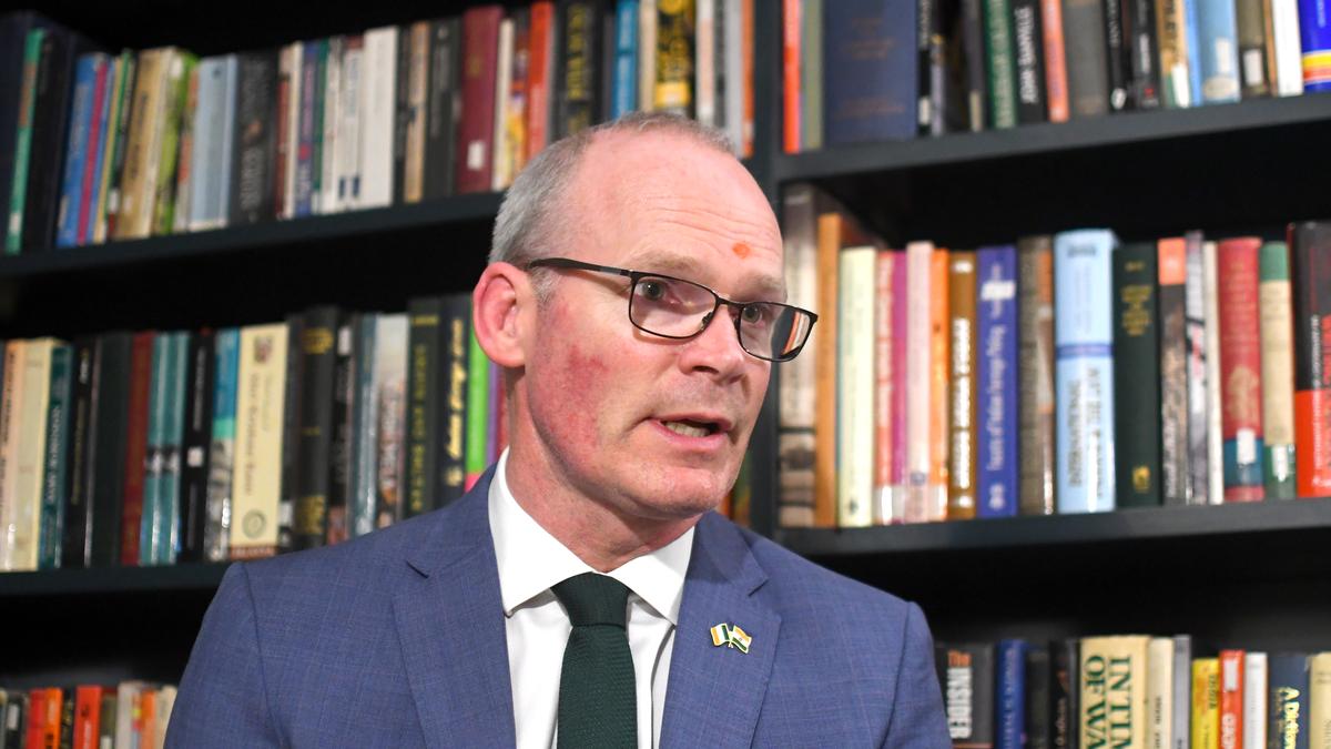 Elections in India and EU holding up FTA talks, hope to start later this year: Irish Minister